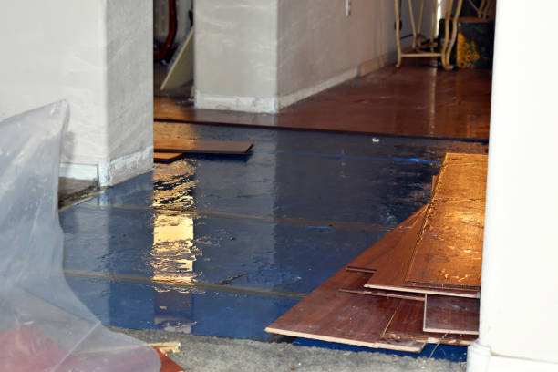 Professional Basement Flood Cleanup technician working in Hemlock, MI